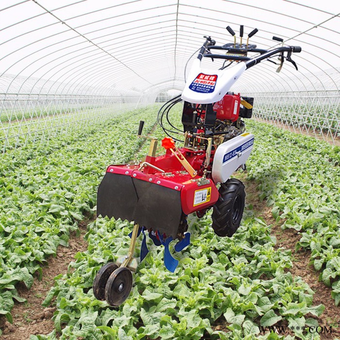 农田用旋耕微耕机 山药种植开沟机  草莓开沟起垄机图3
