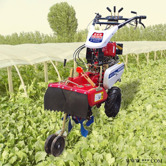 农田用旋耕微耕机 山药种植开沟机  草莓开沟起垄机图8