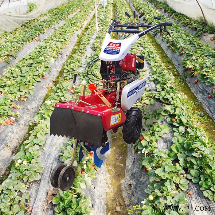 农田用旋耕微耕机 山药种植开沟机  草莓开沟起垄机图7