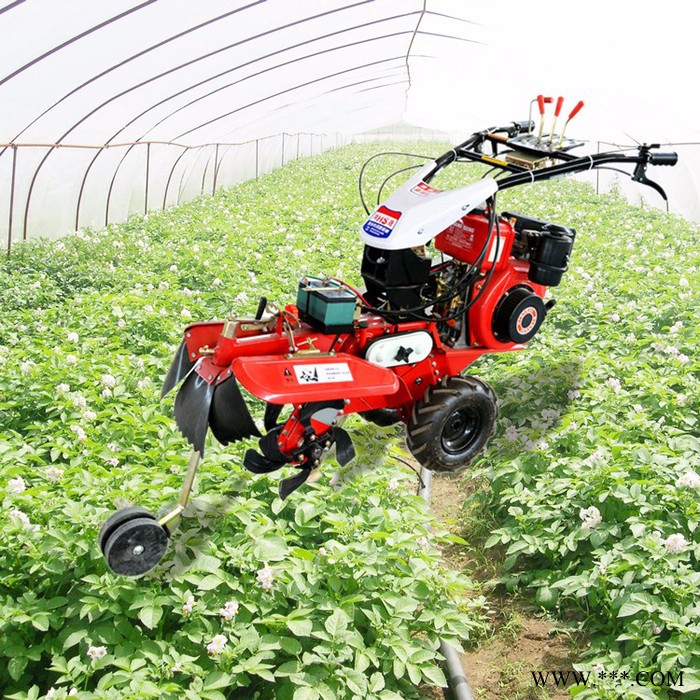 农田用旋耕微耕机 山药种植开沟机  草莓开沟起垄机图2
