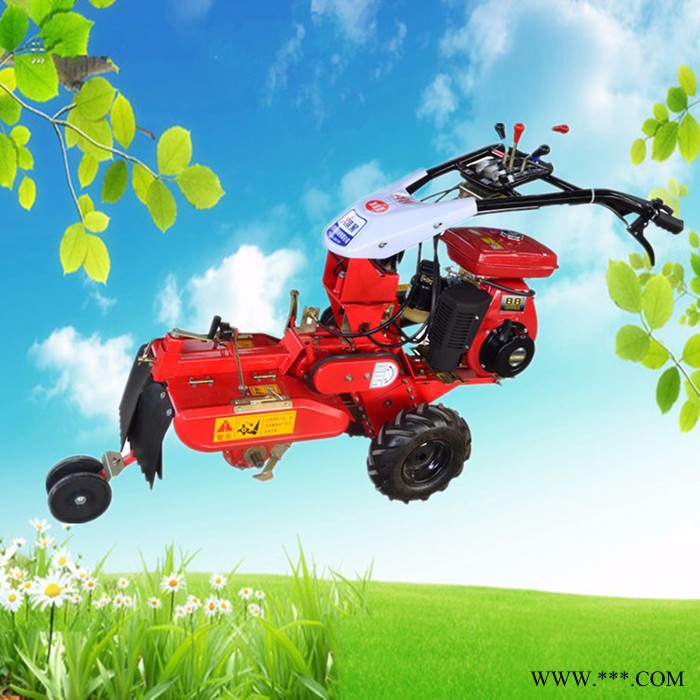 农田用旋耕微耕机 山药种植开沟机  草莓开沟起垄机图6