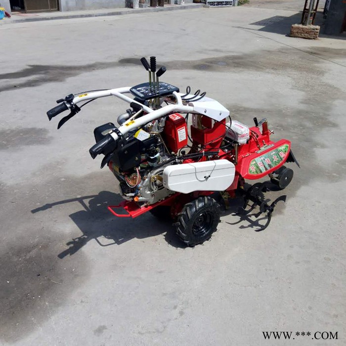 耐用果园种植小型开沟机 普航农用田园管理机价格 山药果园锄草机图7