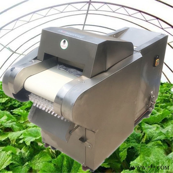 山药切片机 腐竹切段机 辣椒豆角切段机富兴图8