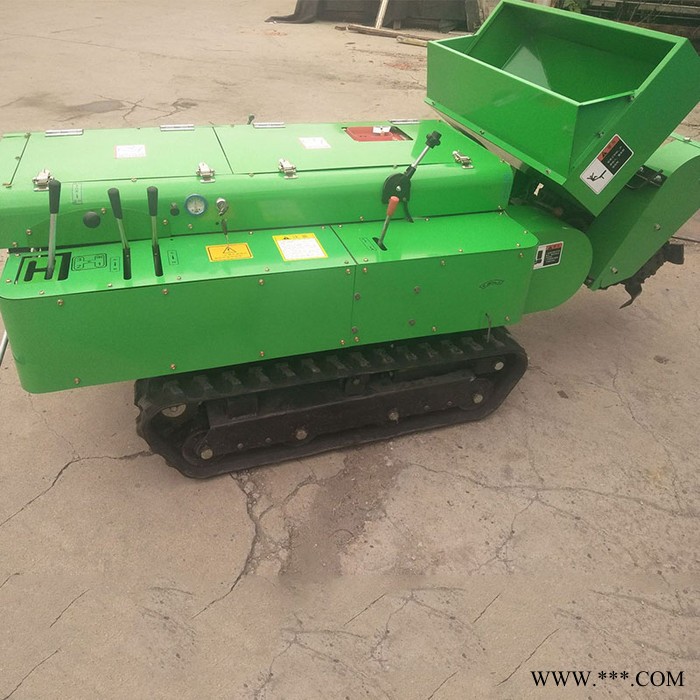 小型施肥旋耕机山药地自走式施肥旋耕机柴油开沟机图3