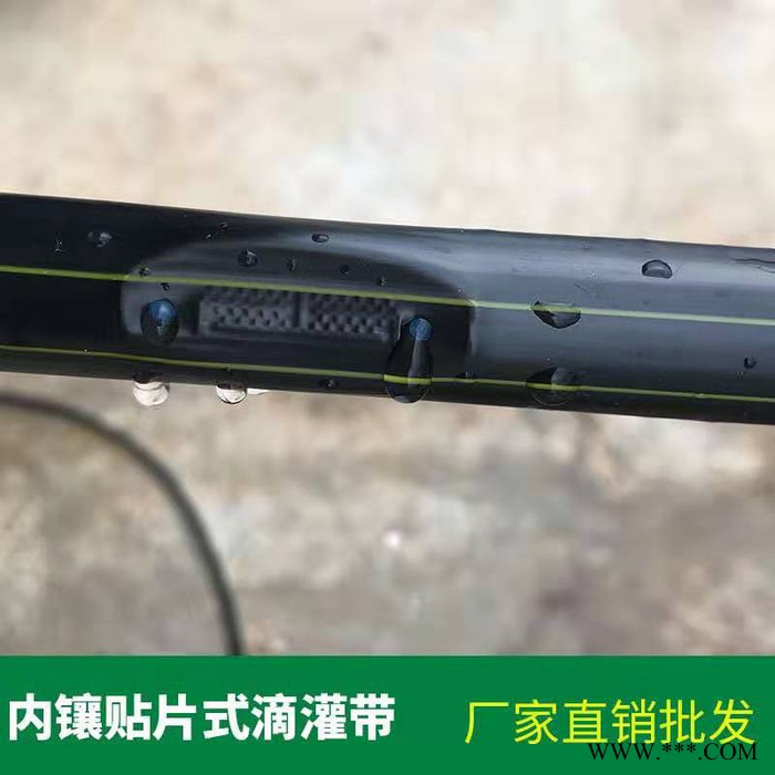 亿碧源 安阳内黄山药滴灌水肥一体机 土豆滴灌 **图7