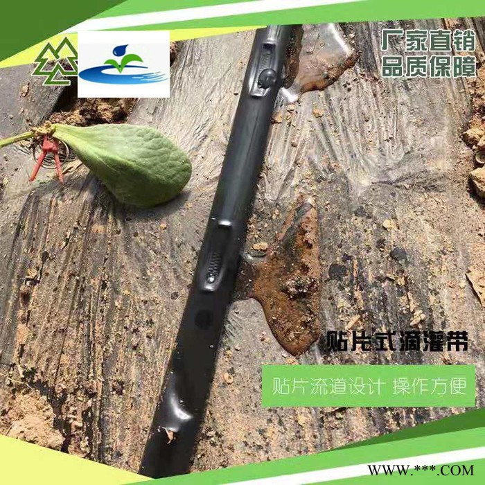 亿碧源 安阳内黄山药滴灌水肥一体机 土豆滴灌 **图3