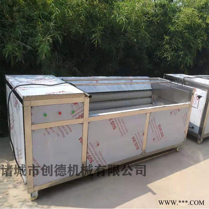 土豆红薯山药毛刷机 洋芋清洗去皮机 芋头去皮机图4