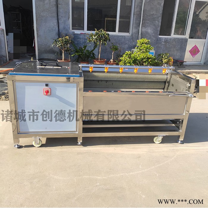 土豆红薯山药毛刷机 洋芋清洗去皮机 芋头去皮机图3