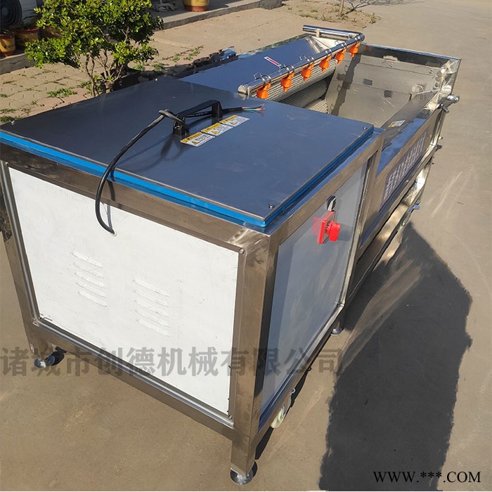 土豆红薯山药毛刷机 洋芋清洗去皮机 芋头去皮机图2