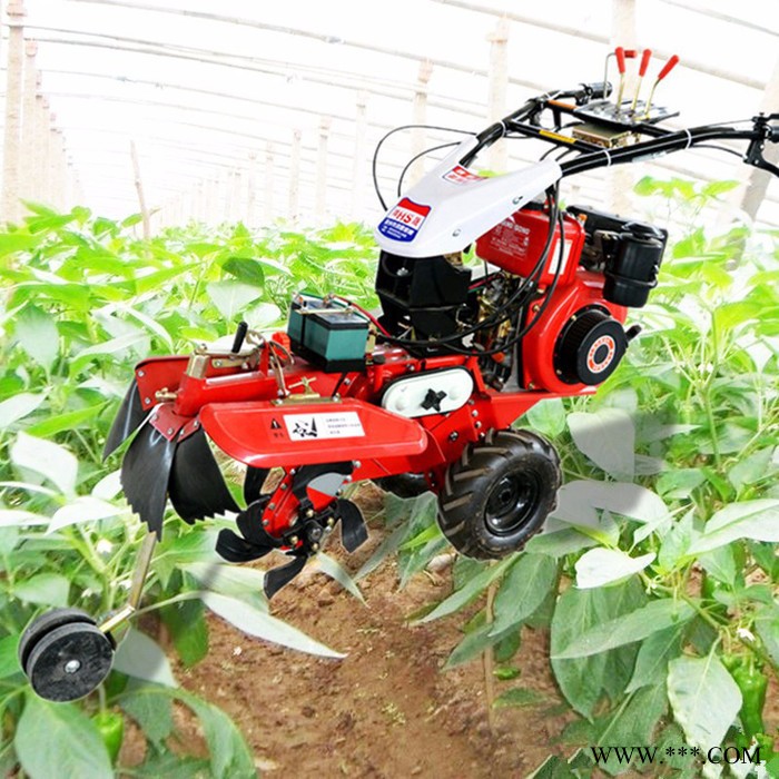 山药地 芋头开沟机培土机 山西羊肚菌种植开沟机 大棚种植开沟培土图6