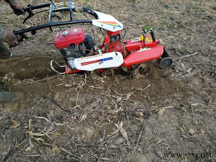 山药地 芋头开沟机培土机 山西羊肚菌种植开沟机 大棚种植开沟培土图5