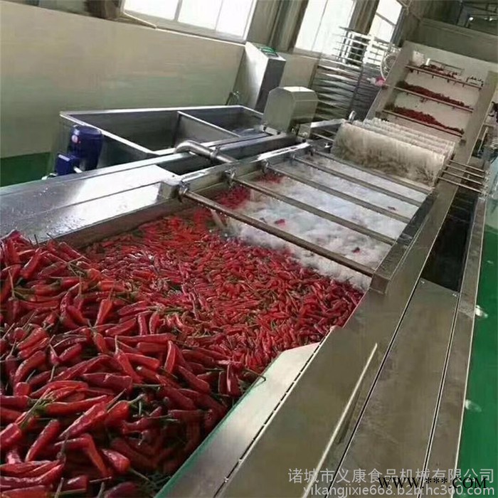 义康牌QX-3000型 海带喷淋气泡清洗机 生菜翻浪清洗机  山药鼓泡清洗流水线图6