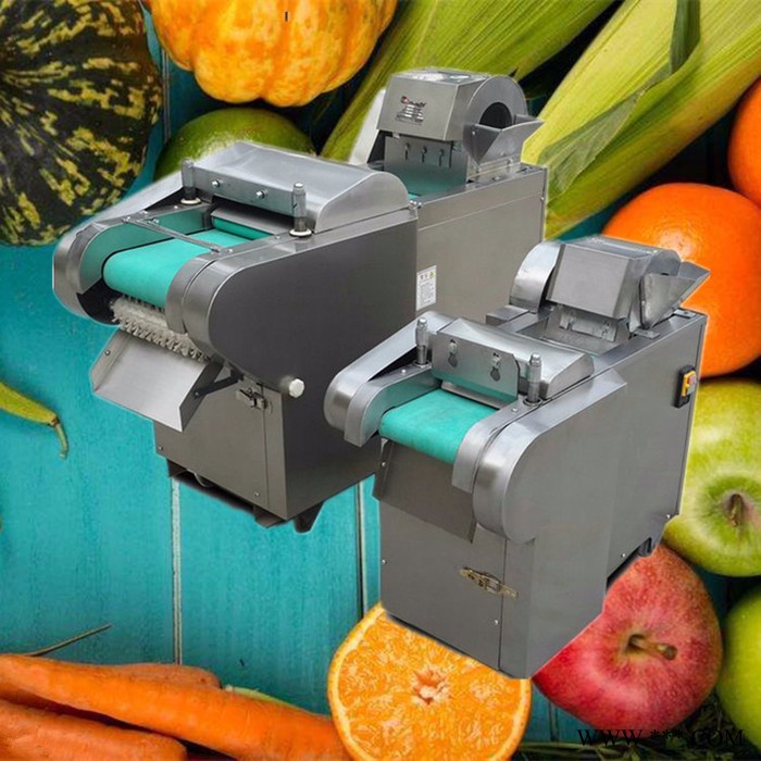 淄博山药切片机 萝卜切丝切丁机 多功能切菜机批发图6