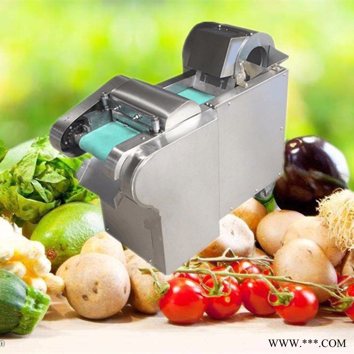 淄博山药切片机 萝卜切丝切丁机 多功能切菜机批发图4