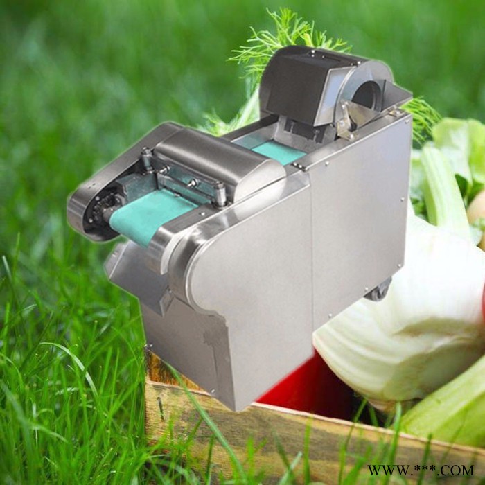 淄博山药切片机 萝卜切丝切丁机 多功能切菜机批发图5