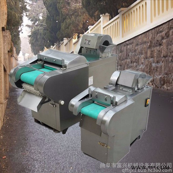 土豆专用快速切丝机 山药切片机 咸菜切丁机批发图5