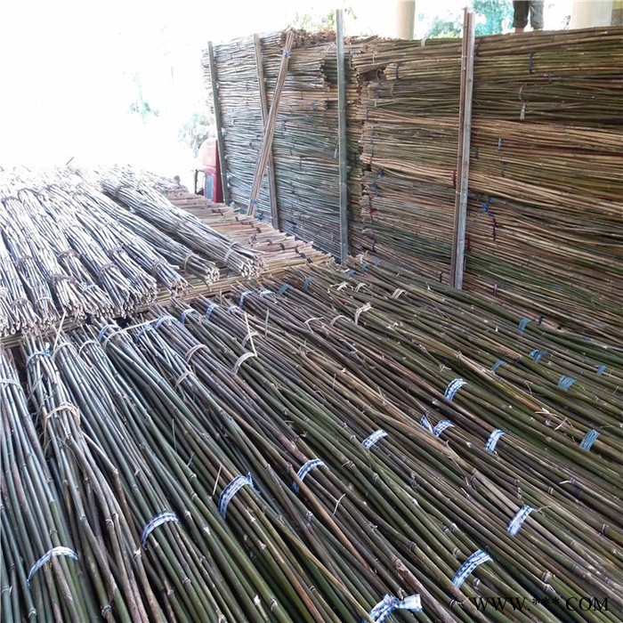 批发山东竹竿、山东菜架竹，山药，豆角，西红柿搭架子用的小竹竿图5