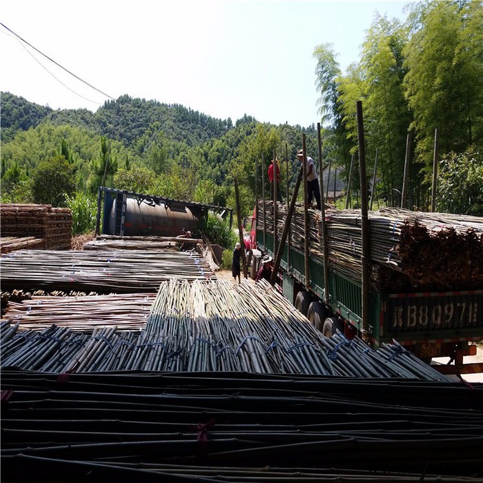 批发山东竹竿、山东菜架竹，山药，豆角，西红柿搭架子用的小竹竿图7