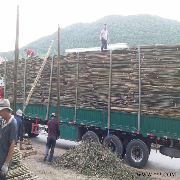 批发山东竹竿、山东菜架竹，山药，豆角，西红柿搭架子用的小竹竿图6