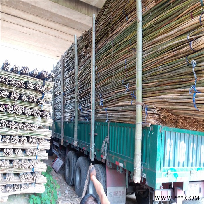 批发山东竹竿、山东菜架竹，山药，豆角，西红柿搭架子用的小竹竿图3