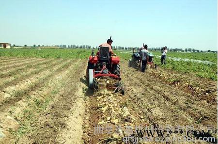 本溪山药挖掘机用途 圣嘉实用型地瓜收获机使用方法 红薯薯类作物才挖机图片图2