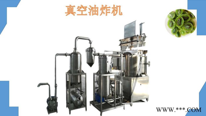 欧业 山药脆真空油炸机 VF-100油炸设备  油炸机厂家图2