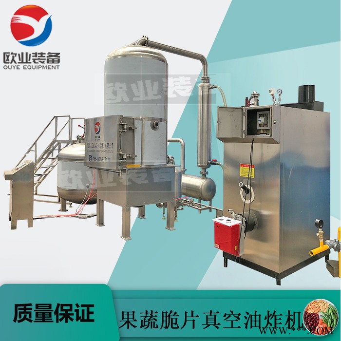 欧业 山药脆真空油炸机 VF-100油炸设备  油炸机厂家图3
