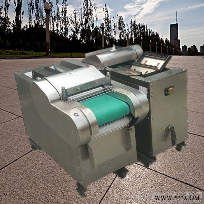 带机头切丝机    酸菜山药切片机  切丝机价格图4