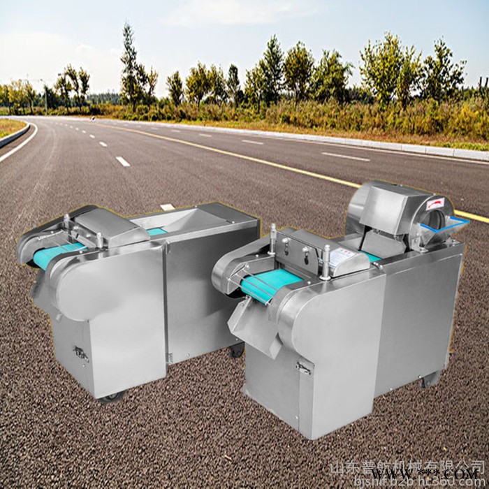 带机头切丝机    酸菜山药切片机  切丝机价格图2