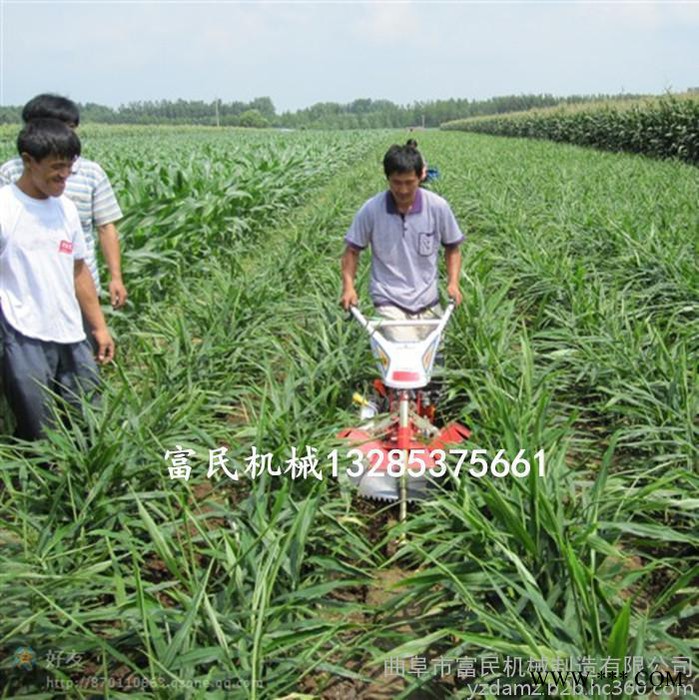山药开沟机,开沟起垄机,大葱开沟机 田园耕整机视频图3