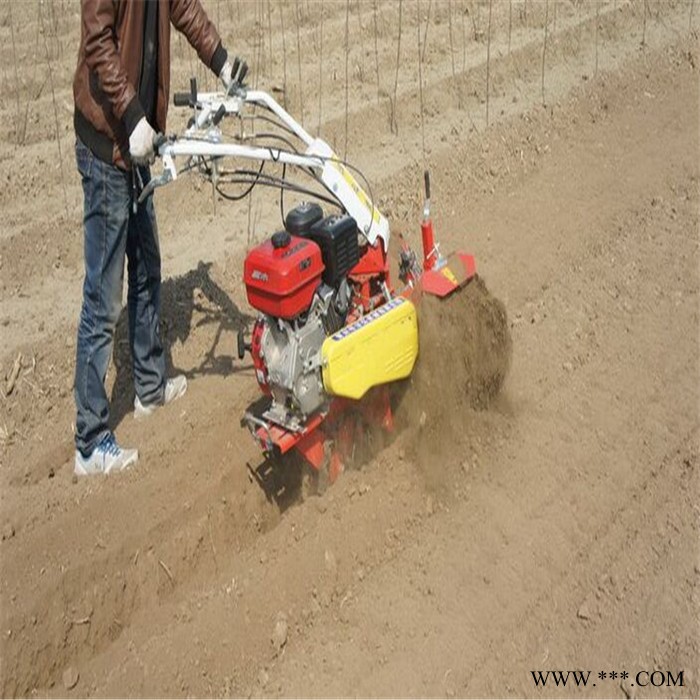 山药松土开沟机  186风冷柴油多功能微耕机 双速开沟培土机富兴图3