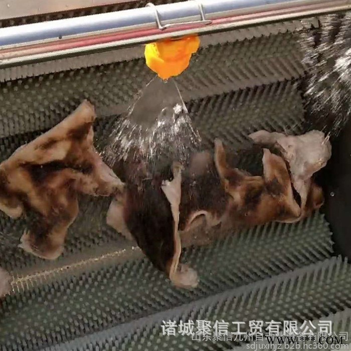 聚信九州JX-1500 红薯地瓜土豆萝卜山药根茎类产品清洗去杂机 毛辊喷淋清洗机 小型 红薯清洗机图3