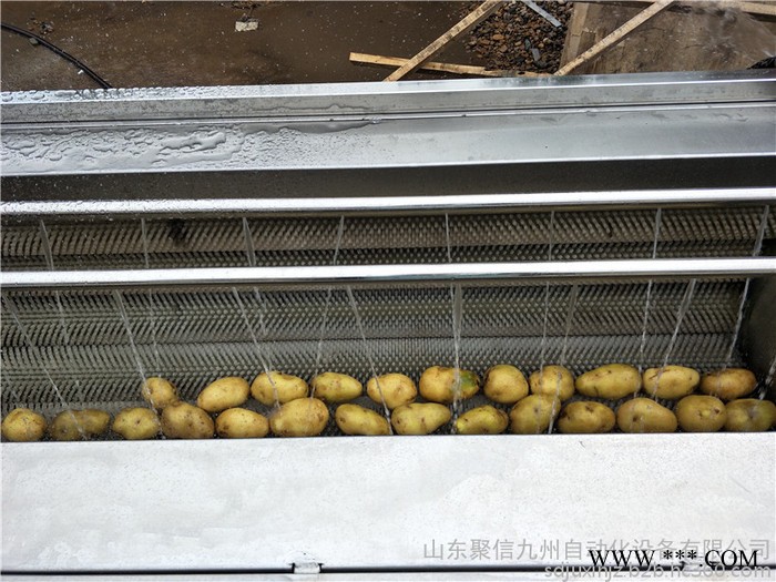 聚信九州JX-1500 红薯地瓜土豆萝卜山药根茎类产品清洗去杂机 毛辊喷淋清洗机 小型 红薯清洗机