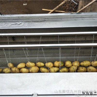 聚信九州JX-1500 红薯地瓜土豆萝卜山药根茎类产品清洗去杂机 毛辊喷淋清洗机 小型 红薯清洗机