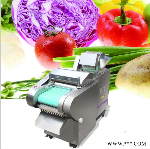 不锈钢山药切片 海草切段机 荷叶切丝机普航图6