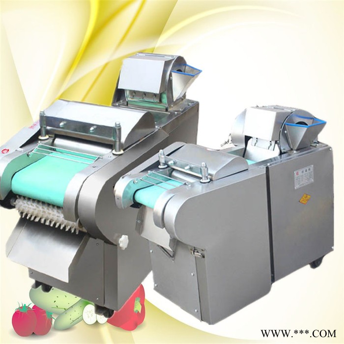 不锈钢山药切片 海草切段机 荷叶切丝机普航图3