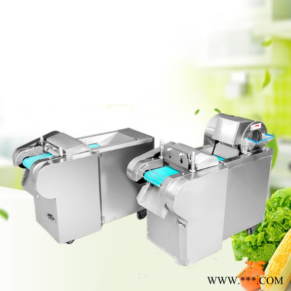 不锈钢山药切片 海草切段机 荷叶切丝机普航图8