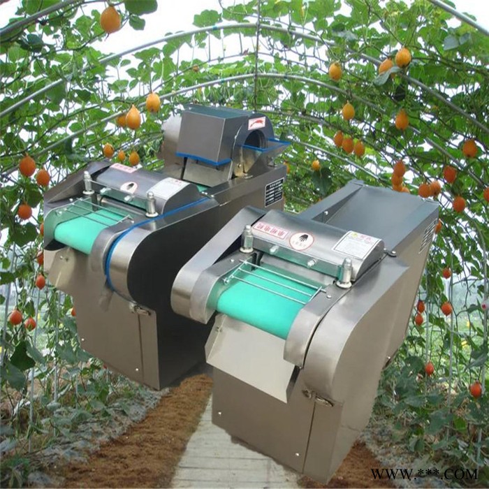 山药切片机富兴 食堂专用青菜切丝机 茄子片加工切片机图5