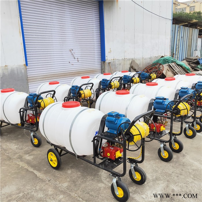 卷管遥控菜园打药机 山药豆拉管喷药机 多人小区打药机图6