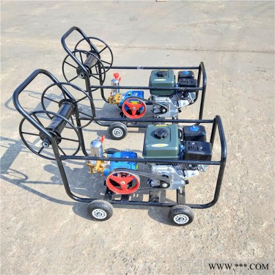 卷管遥控菜园打药机 山药豆拉管喷药机 多人小区打药机