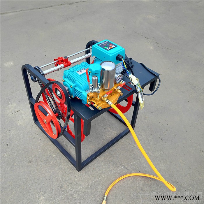 卷管遥控菜园打药机 山药豆拉管喷药机 多人小区打药机图4