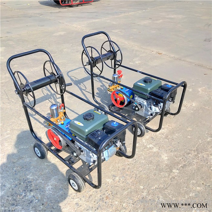 卷管遥控菜园打药机 山药豆拉管喷药机 多人小区打药机图2