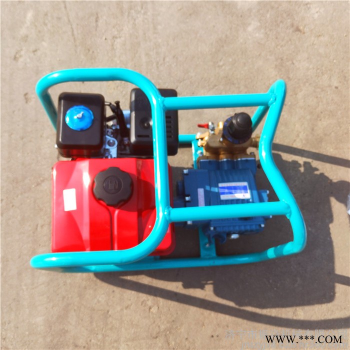 卷管遥控菜园打药机 山药豆拉管喷药机 多人小区打药机图3