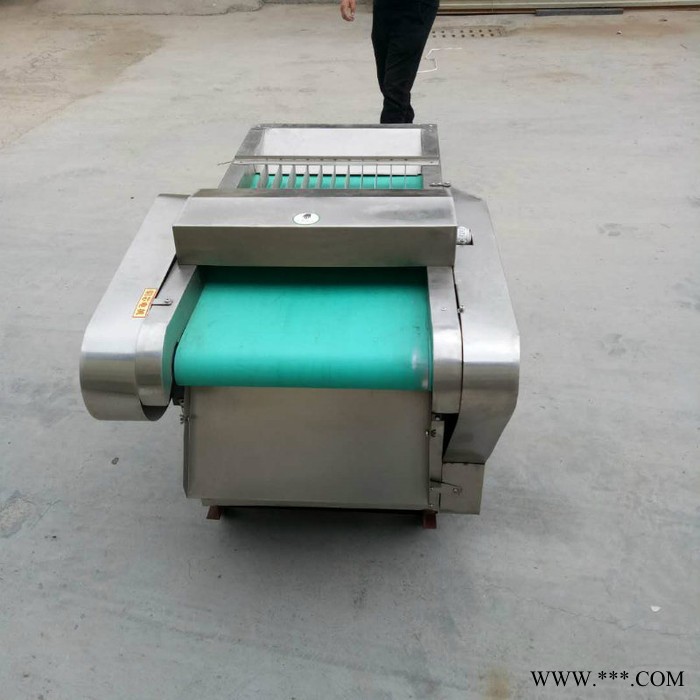 麻山药切片机 水萝卜切菜机 山药电动切片机切丁机 荸荠切菜机图5