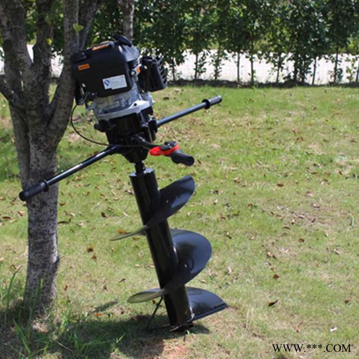 佳硕麻山药切片机 水萝卜切菜机 卷心菜切丝设备图3