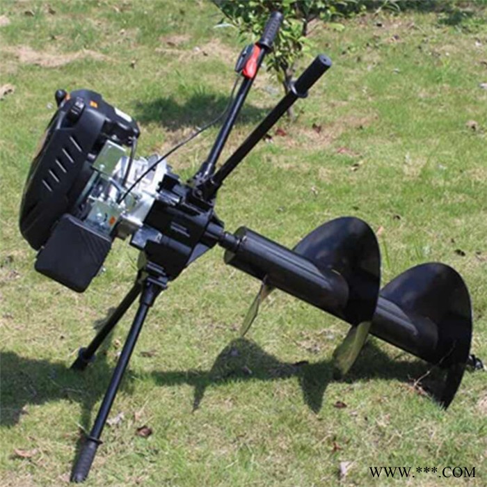 佳硕麻山药切片机 水萝卜切菜机 卷心菜切丝设备图6