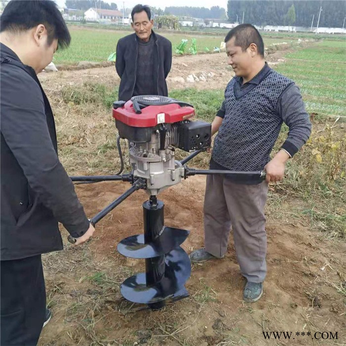 佳硕麻山药切片机 水萝卜切菜机 卷心菜切丝设备图8