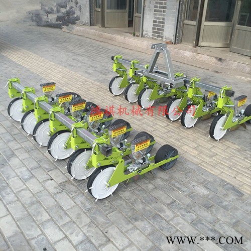 手推式蔬菜精播机 龙门县高粱白菜精播机 4行播种山药机图3