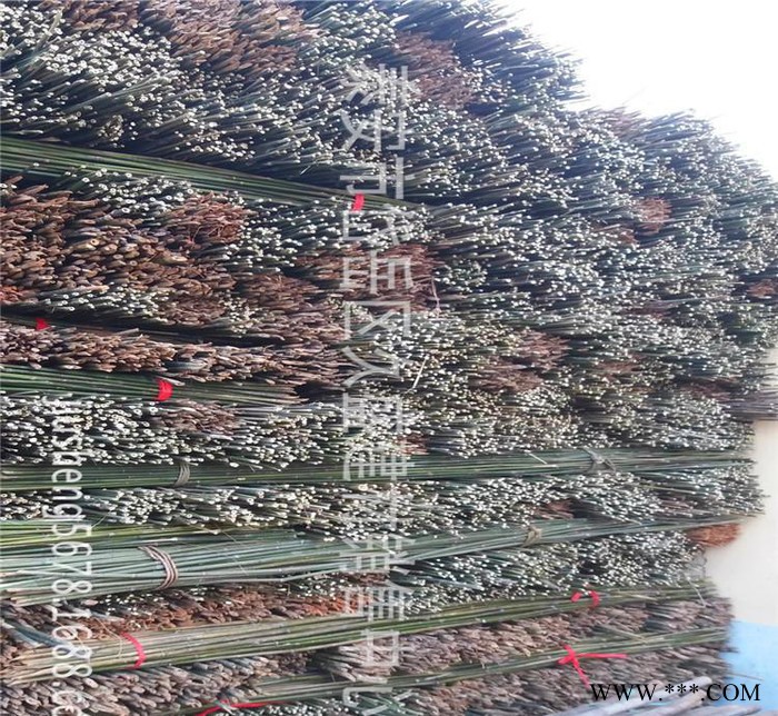 久盛****菜架竹 山药架 豆角架 **5000件图3