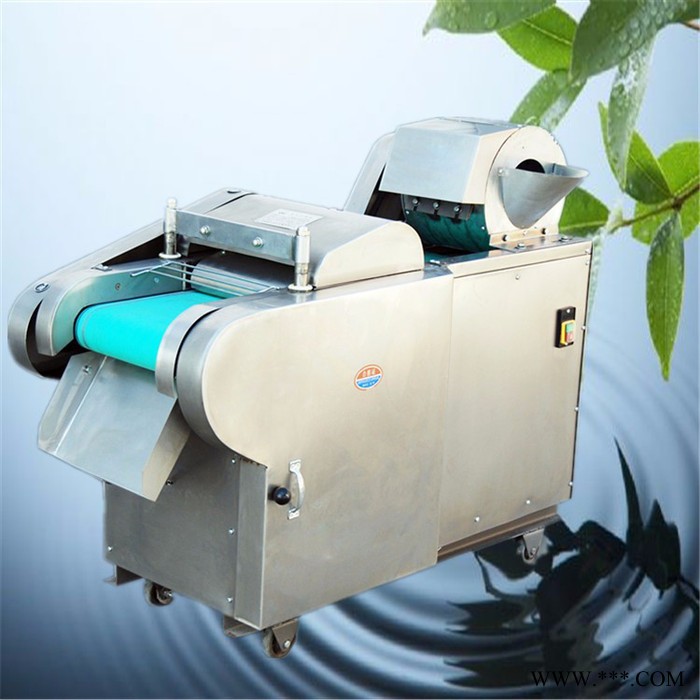 糍粑切条机 长豆角切段机 山药切片机 年糕切丁机图2